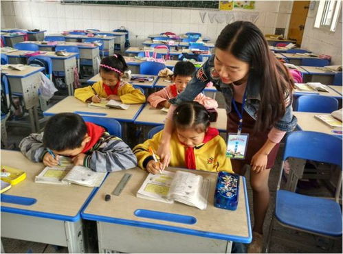 钟祥市新堤小学 与 影子教师 共成长